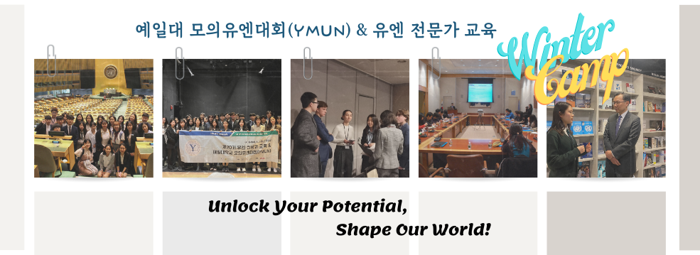 유엔 전문가 교육 갤러리